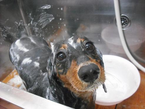 ファイル 54-2.jpg