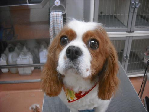 ファイル 540-1.jpg