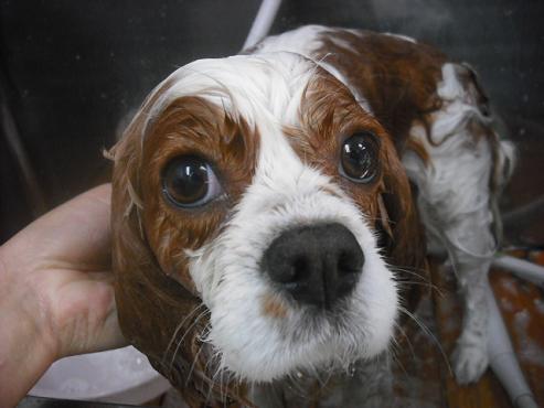 ファイル 540-2.jpg