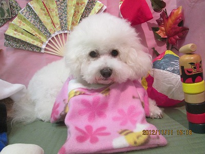 ファイル 5404-1.jpg