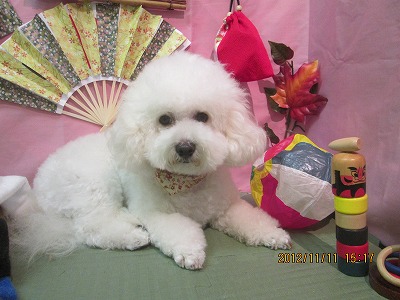 ファイル 5404-2.jpg