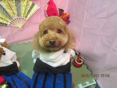 ファイル 5405-1.jpg