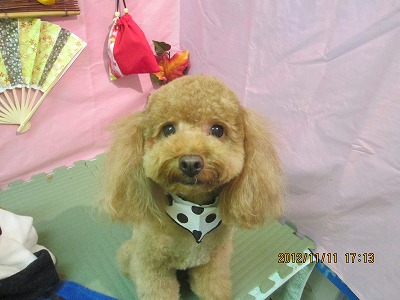 ファイル 5405-2.jpg