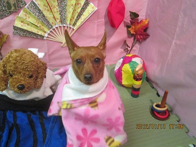 ファイル 5406-1.jpg