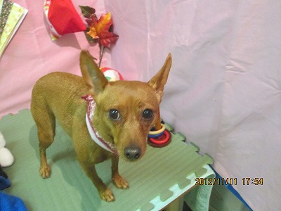 ファイル 5406-2.jpg