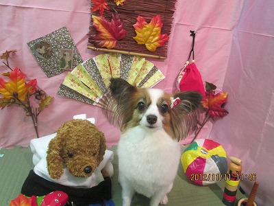 ファイル 5407-2.jpg