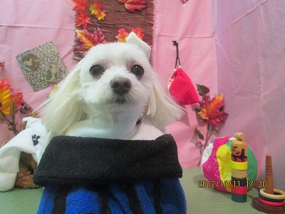 ファイル 5408-1.jpg