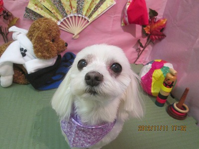 ファイル 5408-2.jpg