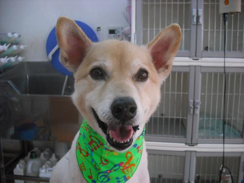 ファイル 541-1.jpg