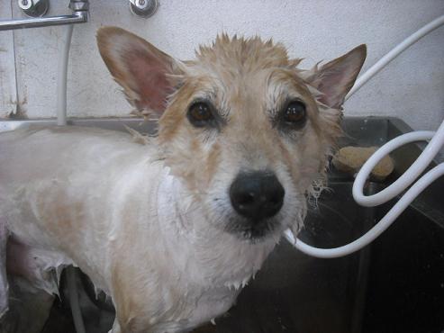 ファイル 541-2.jpg