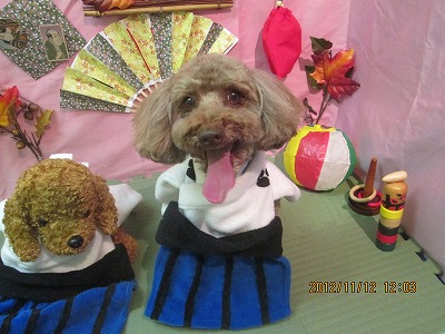 ファイル 5410-1.jpg