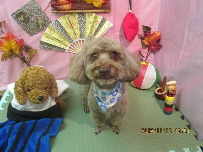 ファイル 5410-2.jpg