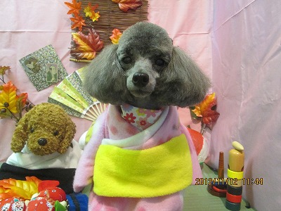 ファイル 5411-1.jpg