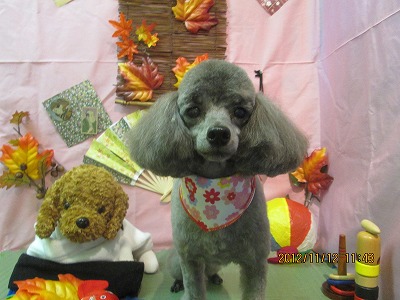 ファイル 5411-2.jpg