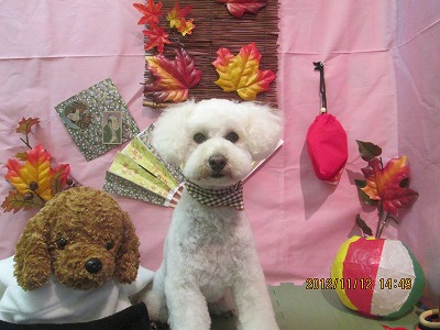 ファイル 5413-2.jpg