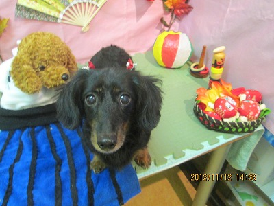 ファイル 5414-2.jpg