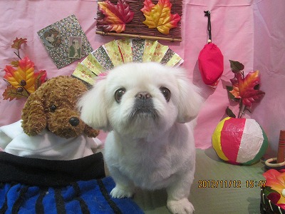 ファイル 5415-2.jpg