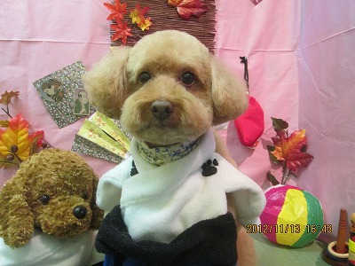 ファイル 5417-1.jpg