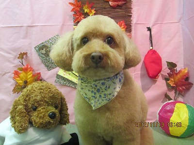 ファイル 5417-2.jpg