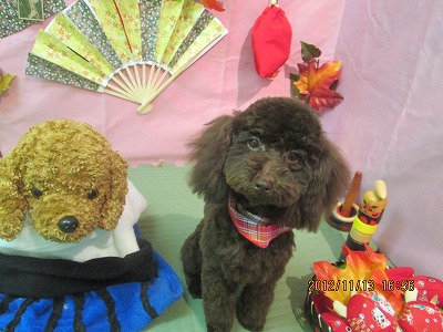 ファイル 5418-2.jpg