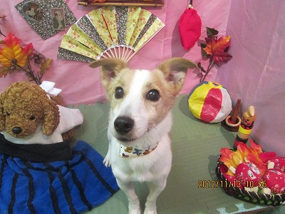 ファイル 5419-2.jpg