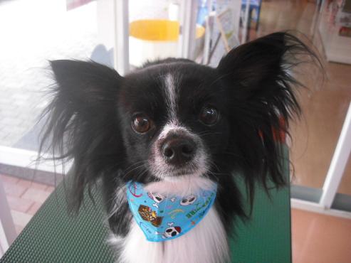 ファイル 542-1.jpg