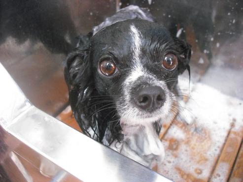 ファイル 542-2.jpg