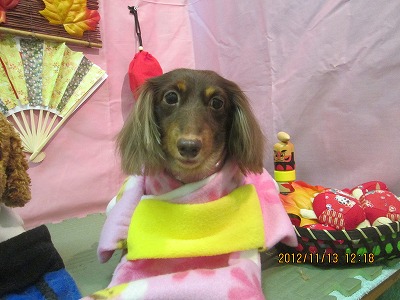 ファイル 5421-1.jpg