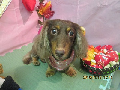 ファイル 5421-2.jpg