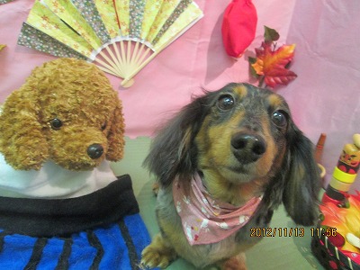 ファイル 5422-2.jpg