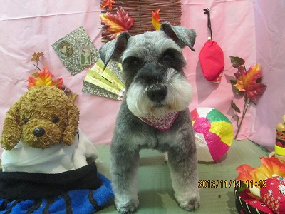 ファイル 5424-2.jpg