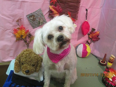 ファイル 5425-2.jpg