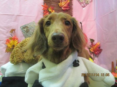 ファイル 5427-1.jpg