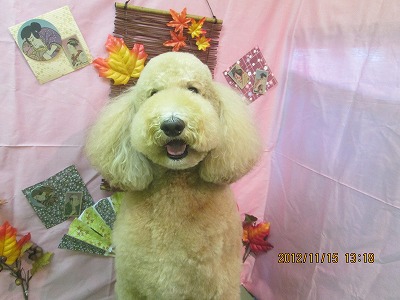 ファイル 5429-2.jpg