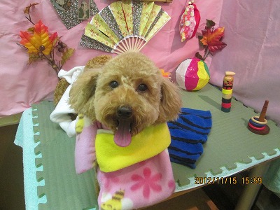 ファイル 5430-1.jpg