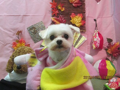 ファイル 5432-1.jpg