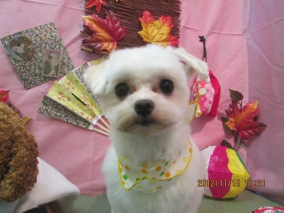 ファイル 5432-2.jpg