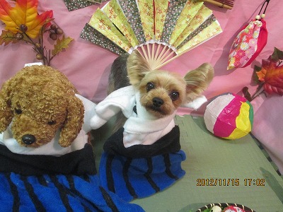 ファイル 5433-1.jpg