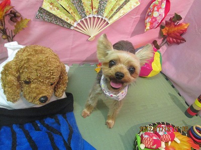 ファイル 5433-2.jpg