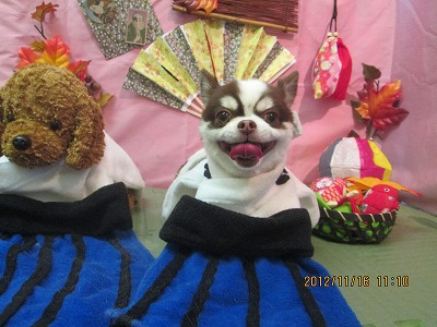 ファイル 5434-1.jpg