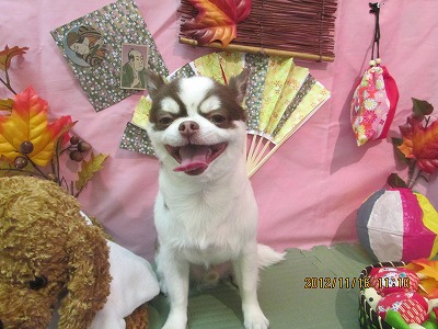 ファイル 5434-2.jpg