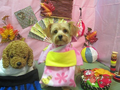 ファイル 5435-1.jpg