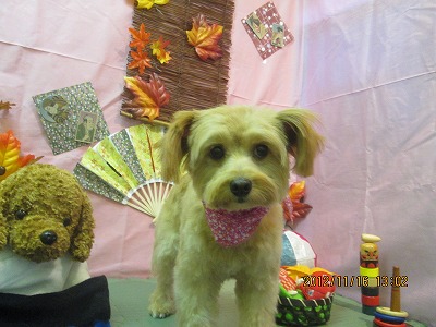 ファイル 5435-2.jpg