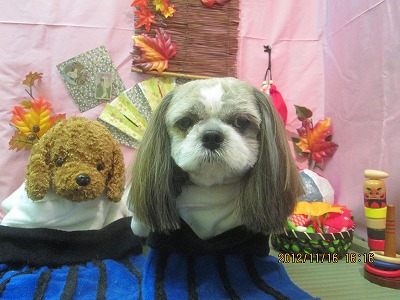 ファイル 5436-1.jpg