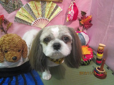 ファイル 5436-2.jpg