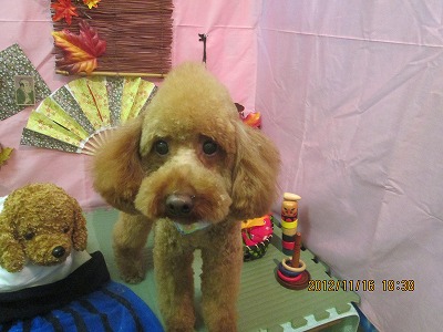 ファイル 5437-2.jpg