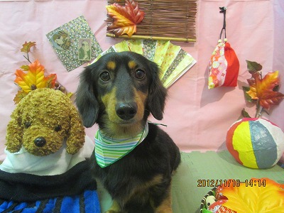 ファイル 5438-2.jpg