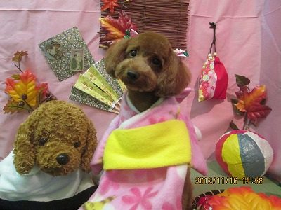 ファイル 5439-1.jpg