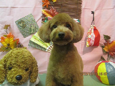 ファイル 5439-2.jpg