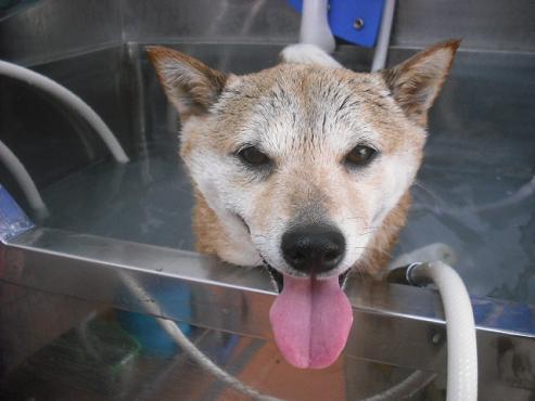 ファイル 544-2.jpg